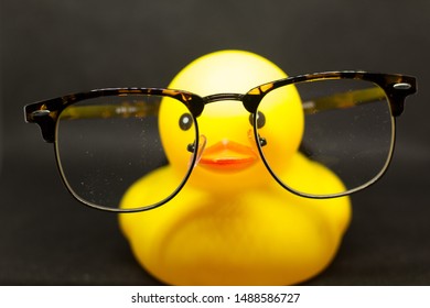 Rubber Duck With Glasses On A Black Background