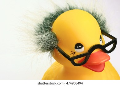 Rubber Duck With Hair And Glasses.