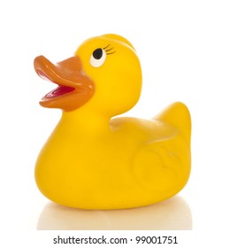 Rubber Duck Isolated On White