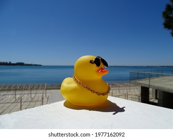 rubber duck with sunglasses and chain