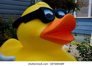 Rubber Duck With Sunglasses Outdoors