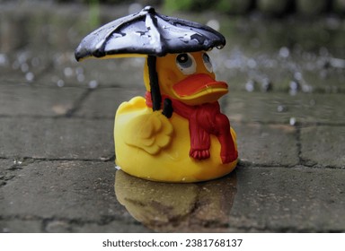 
Rubber duck with umbrella in a rain puddle