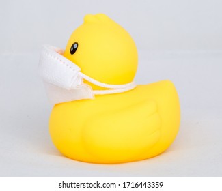 Download Face Mask On Duck Images Stock Photos Vectors Shutterstock PSD Mockup Templates