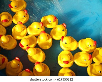 rubber ducks in a children's pool