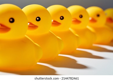 Rubber Ducks Or Ducklings In A Row.