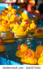 Rubber Ducks At Hook A Duck Fairground Attraction.