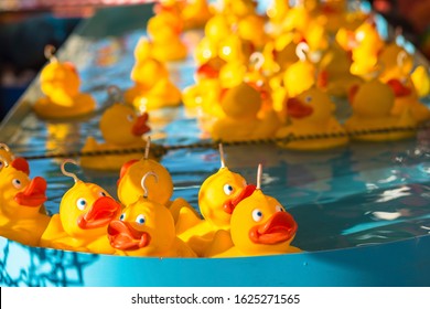 Rubber Ducks At Hook A Duck Fairground Attraction.