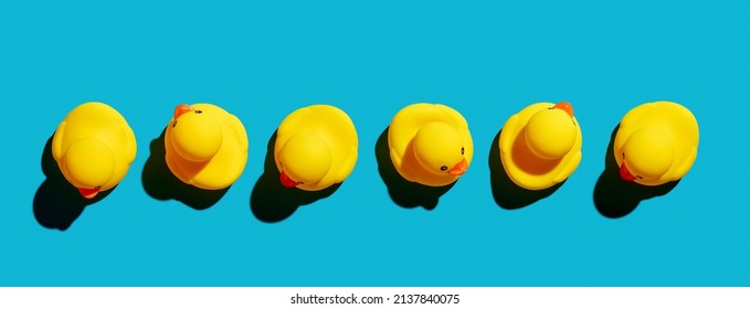 Rubber Ducks Looking At Different Directions Arranged In A Row. Different Business Vision, Perspective Or To Search For An Idea Or Way Concept.