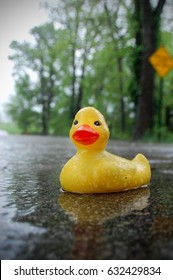 A Rubber Ducky Crossing A Low Water Bridge.