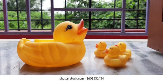 Rubber Ducky Family On Window