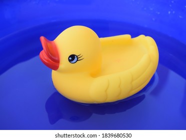 Rubber Ducky In The Water