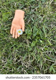 Rubber finger puppet tiny hand holding a small flower on green grass