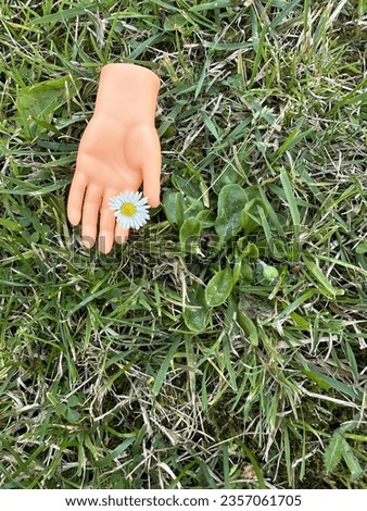 Rubber finger puppet tiny hand holding a small flower on green grass