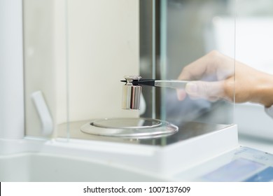 The rubber forcept holding stainless steel calibration weight to place on the analytical balance pan for the calibration test, concept of quality control laboratory in pharmaceutical industry.