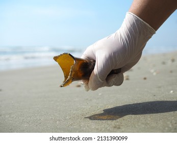 A Rubber Gloved Hand Picked Up A Broken Glass Vial  The Top Of Flask Lifted From Beach Concept Garbage On The Beach Or Hazardous Waste