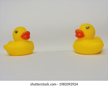 420 Muscle Duck Images, Stock Photos & Vectors 