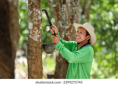 Rubber plantation workers expertly tap rubber trees. Collect valuable latex for production by Asian farmers.