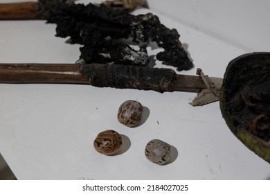 Rubber Seeds And Tools For Tapping Rubber Tree Sap.