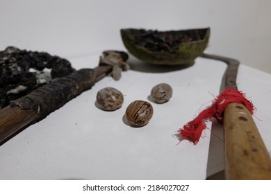 Rubber Seeds And Tools For Tapping Rubber Tree Sap.