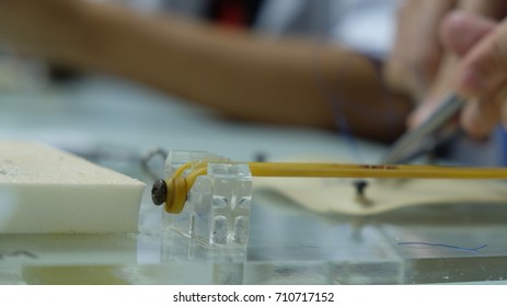 Rubber Sling Used As A Suturing Board For Surgical Trainee.