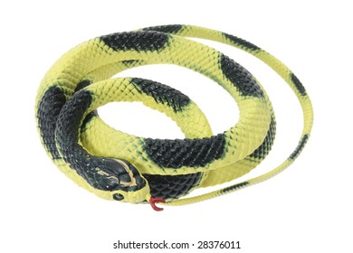 1,260 Rubber snake Images, Stock Photos & Vectors | Shutterstock