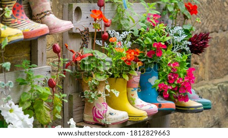 Rubber Wellington Boots are lined up and used as flower pots in the coastal village of Staithes, North Yorkshire, UK