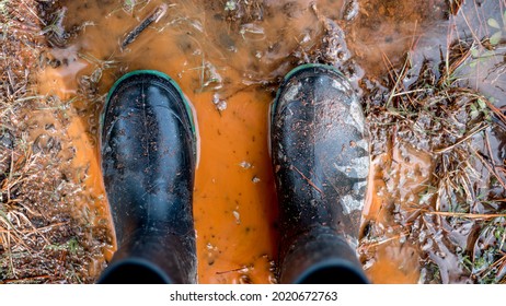 Rubber Work Boots Standing In Mud