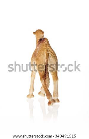 A rubber(plastic) toy of camel back side view isolated white.