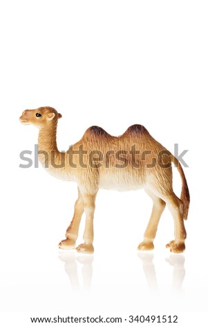 A rubber(plastic) toy of camel side view isolated white.