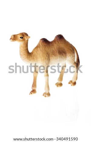 A rubber(plastic) toy of camel side view isolated white.