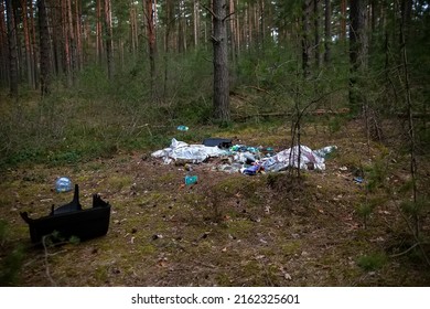Rubbish, trash left after picnic. People illegally throw garbage into the forest. Illegal garbage dump in nature. Dirty environment garbage polluting near footpath in forest.
