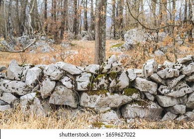 Rubble Stone Wall In Oak Forest