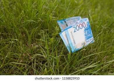 Rubles on green grass