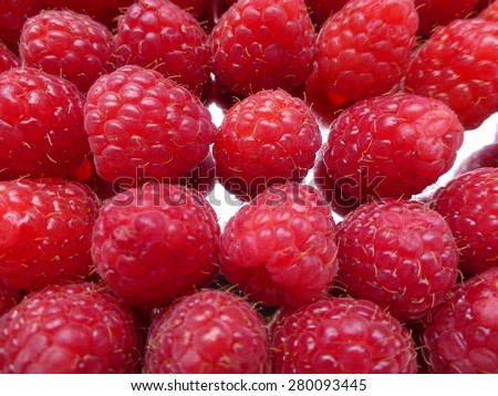 
Rubus idaeus raspberry, also called red raspberry or occasionally as European raspberry.
