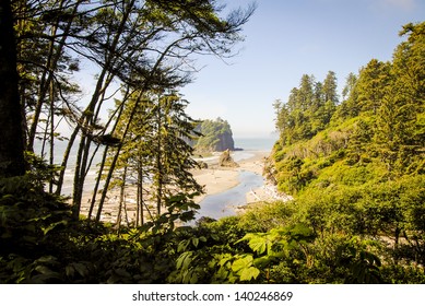 Ruby Beach. Olympic National Park, WA.