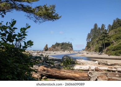 ruby beach with rocks in pacific ocean