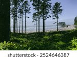 Ruby beach Washington state 2023