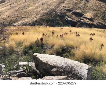 The Ruby Mountains Nevada Landscapes