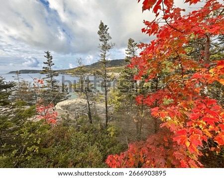 Ruby red fall leaves frame a view of Newport Cove, as seen from the Great Head Trail, Acadia National Park, Maine