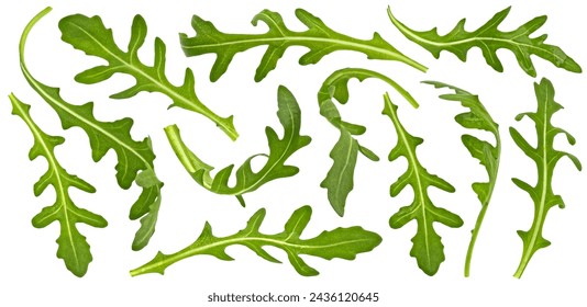 Rucola leaves, falling arugula salad isolated on white background - Powered by Shutterstock