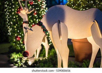 Rudolf Deer3