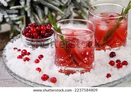 Rudolph Spritzers - The perfect balance of flavor that goes beyond a simple blend of vodka and juice. This light, festive cocktail is the perfect party punch that's easy to make.