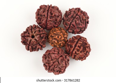 Rudraksha Seeds.