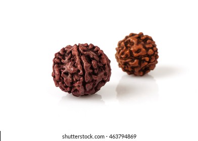 Rudraksha Seeds.