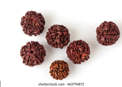 Rudraksha Seeds.