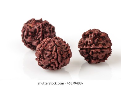 Rudraksha Seeds.