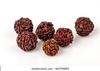 Rudraksha Seeds.