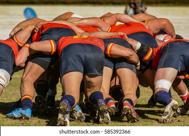 Rugby players struggling for possession of the ball - Powered by Shutterstock