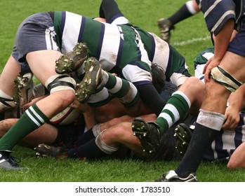 Rugby Union