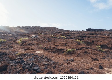 A rugged, barren landscape with a rocky, reddish-brown terrain. Scattered patches of green vegetation add a splash of color to the otherwise stark environment. - Powered by Shutterstock